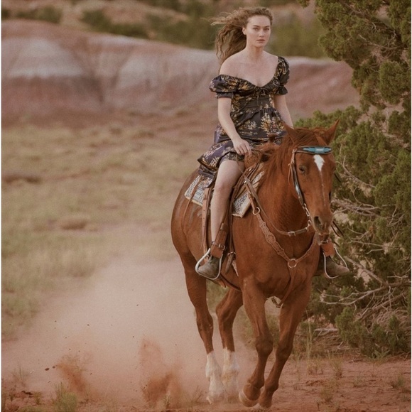 Hill House The Ophelia Nap Dress in Navy Equestrian Toile XS - Picture 13 of 14